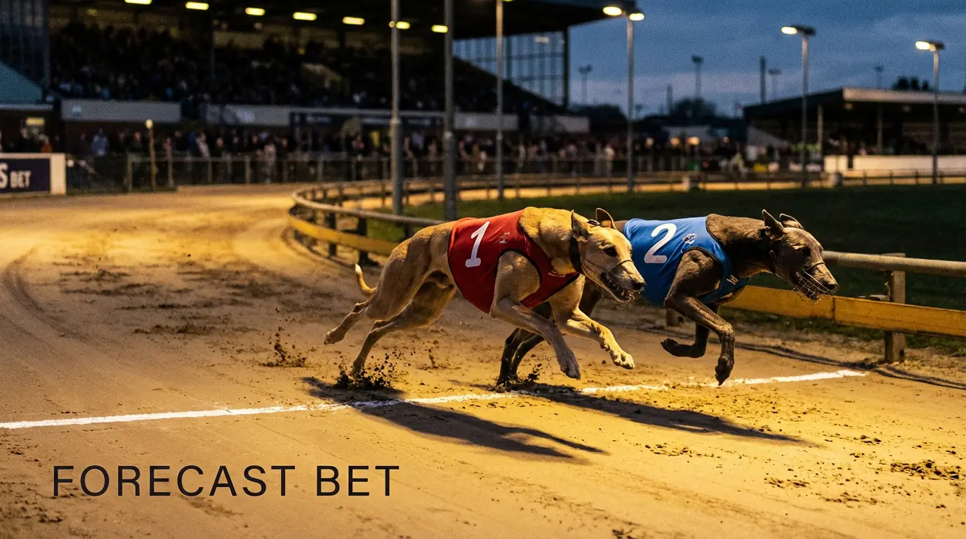 Greyhound forecast bet explained with race finish order