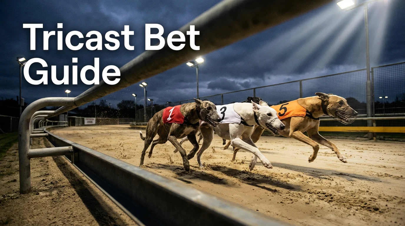 Greyhound tricast bet guide showing top three finish positions